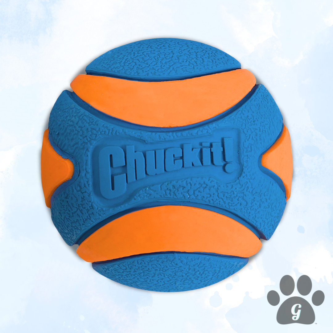 blue and orange dog ball toy