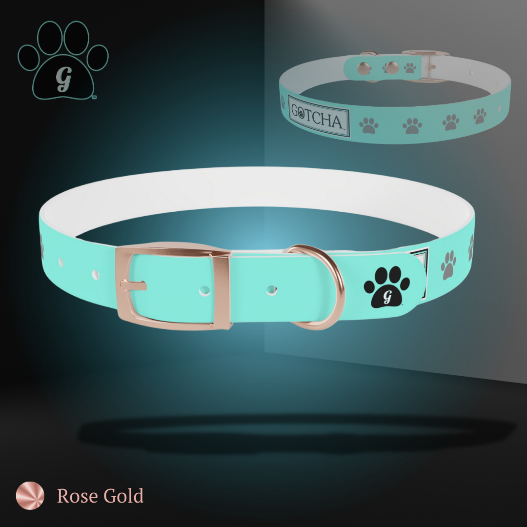 dog collar in rose gold finish