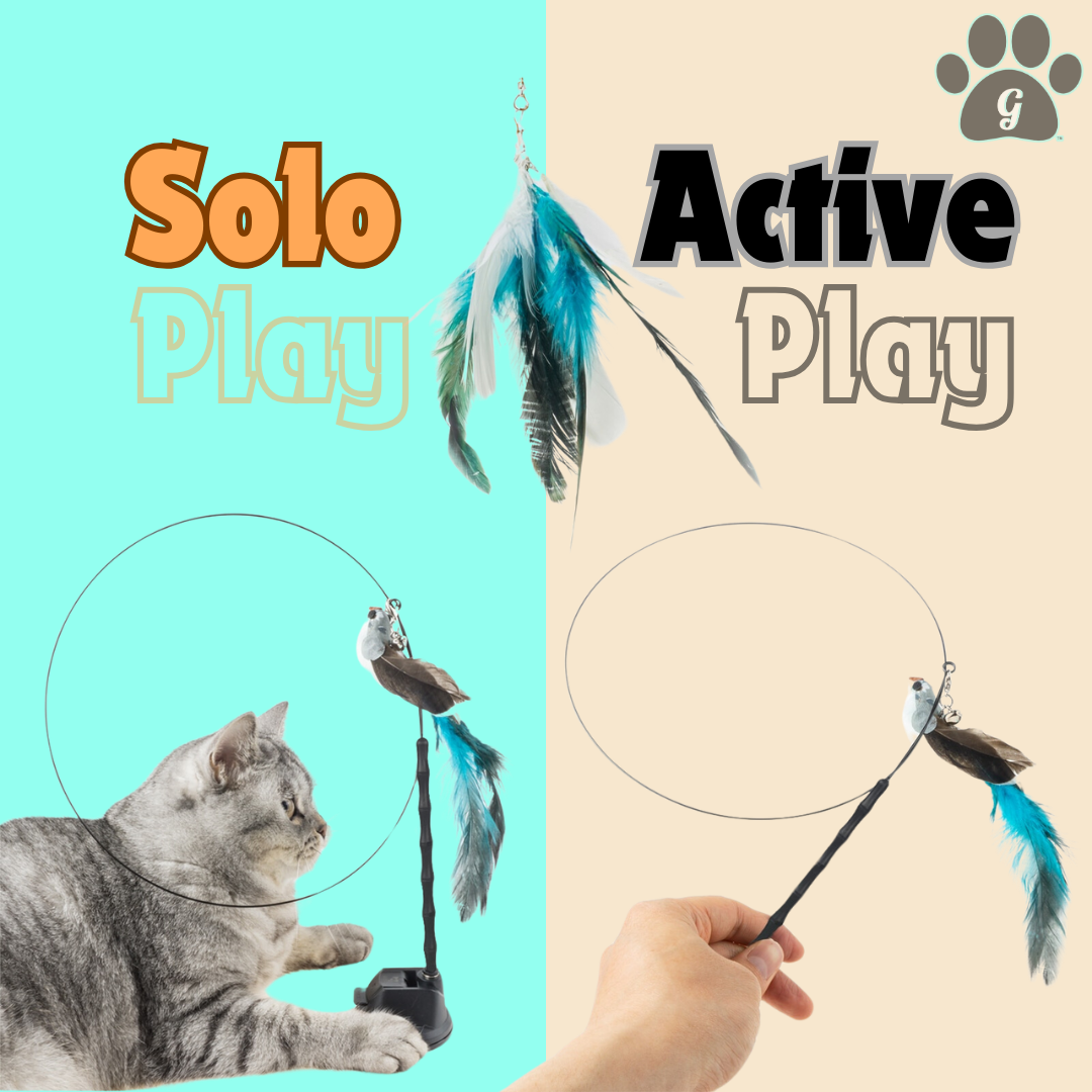 solo play and active play