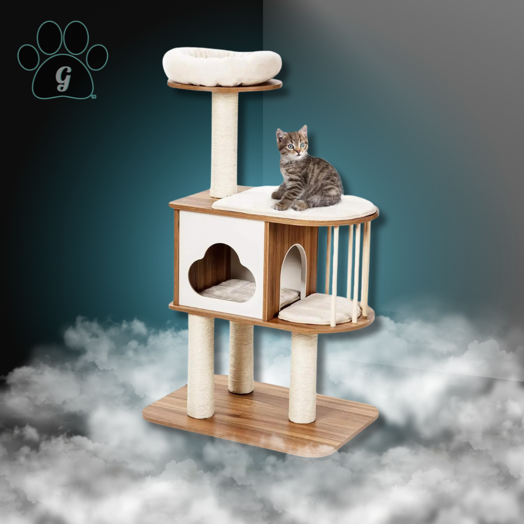 3 level wooden cat condo with kitten sitting on perch