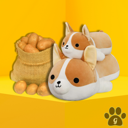 Corgi stuffed toy shop