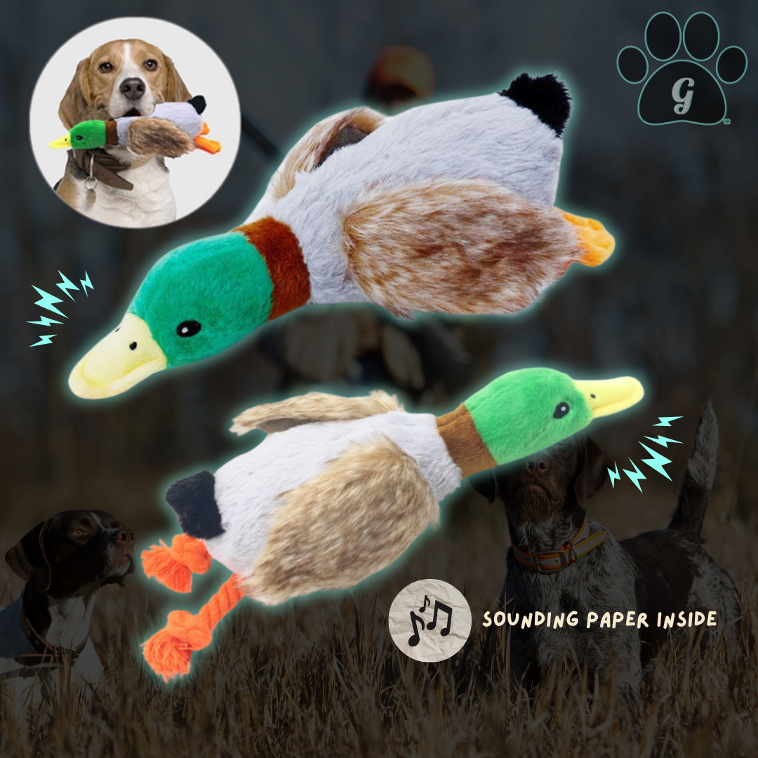 plush duck dog toy