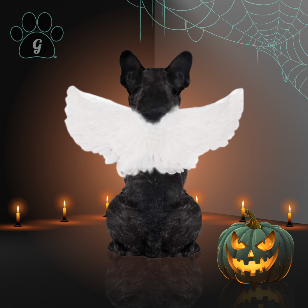 white angel wing costume for small pets