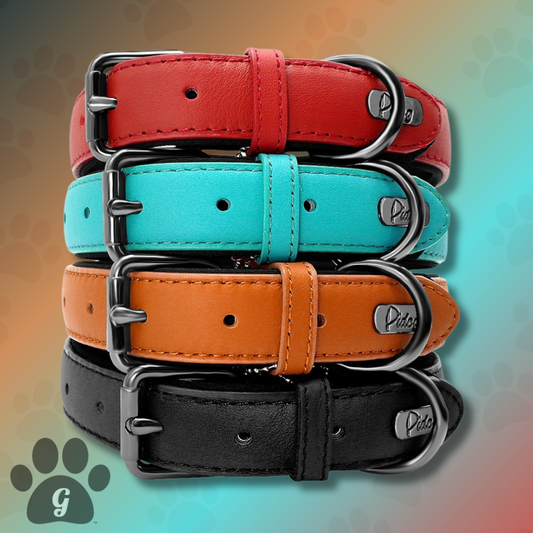 leather dog collar in multiple colors