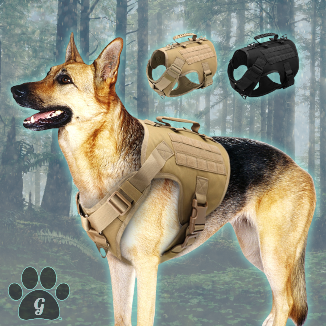 tactical dog harness