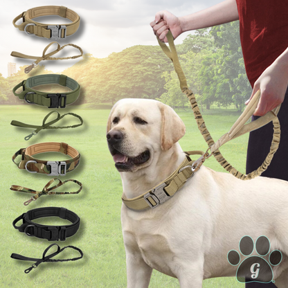 tactical leash and collar set