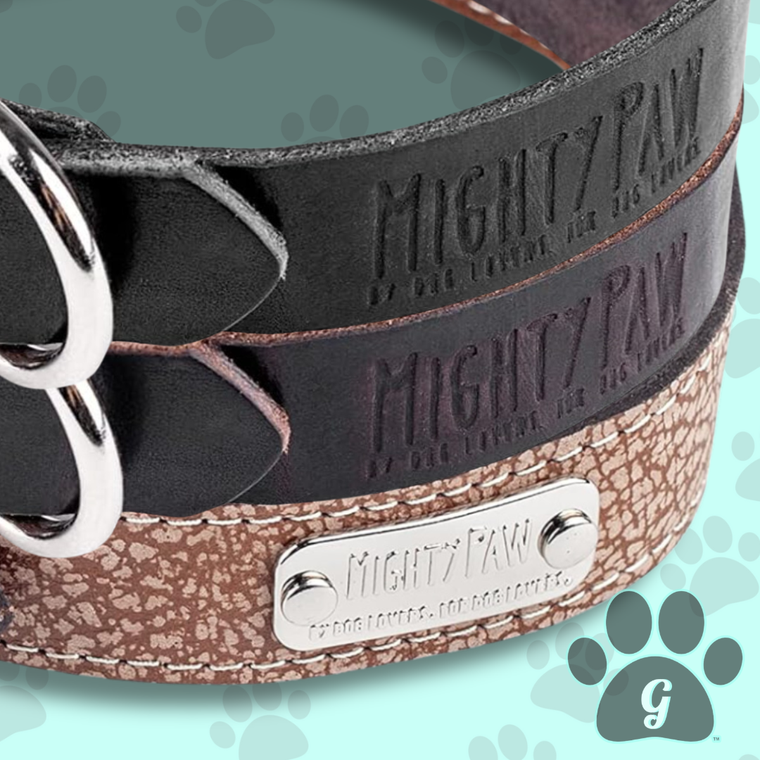 leather dog collar available  in 3 different colors