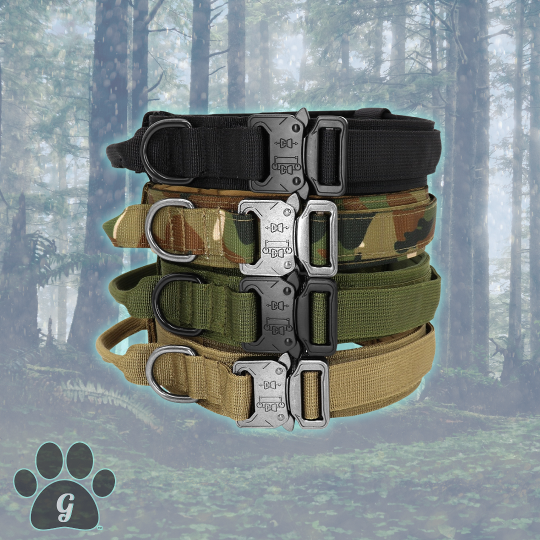 stacked dog collars