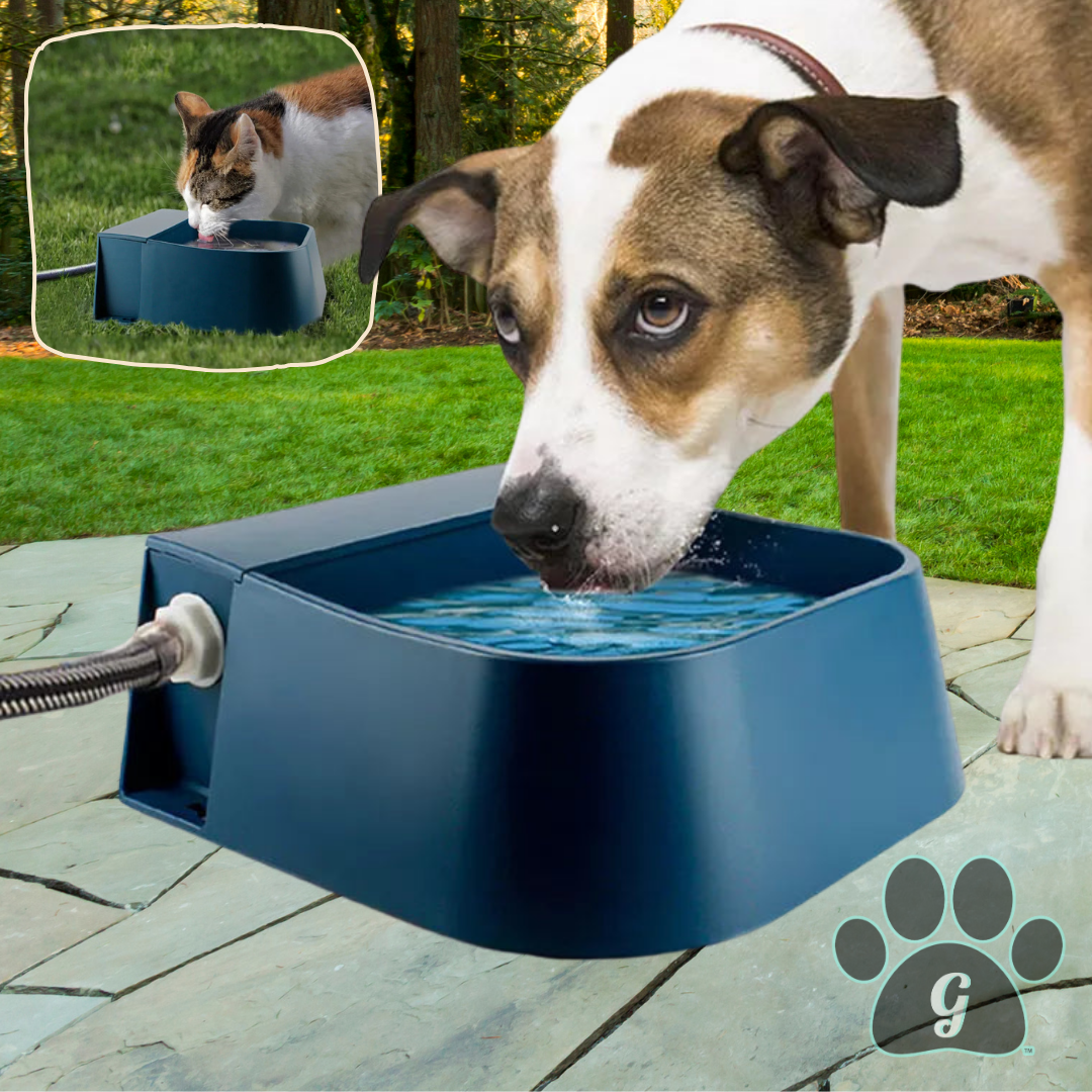 dog and cat shown drinking from navy blue pet running water bowl