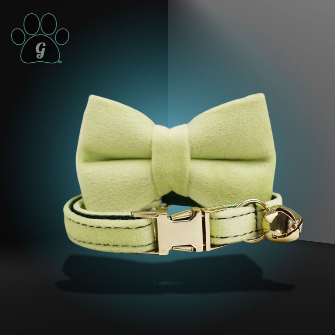 light green cat collar with metal buckle and bell and bowtie