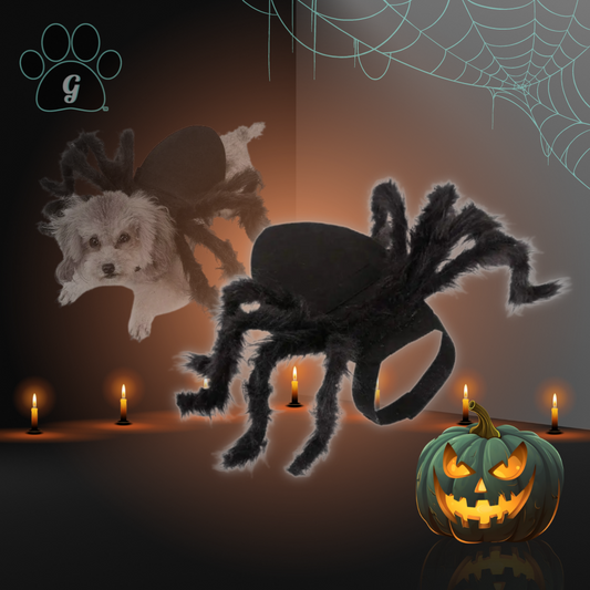 black spider costume for pets