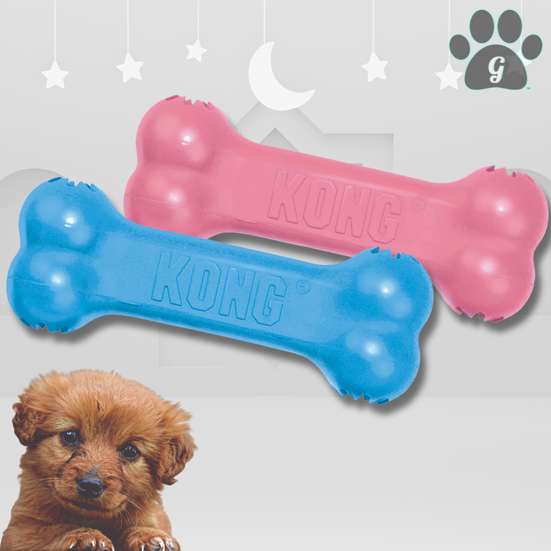 Kong Goodie Bone for puppies in blue and pink