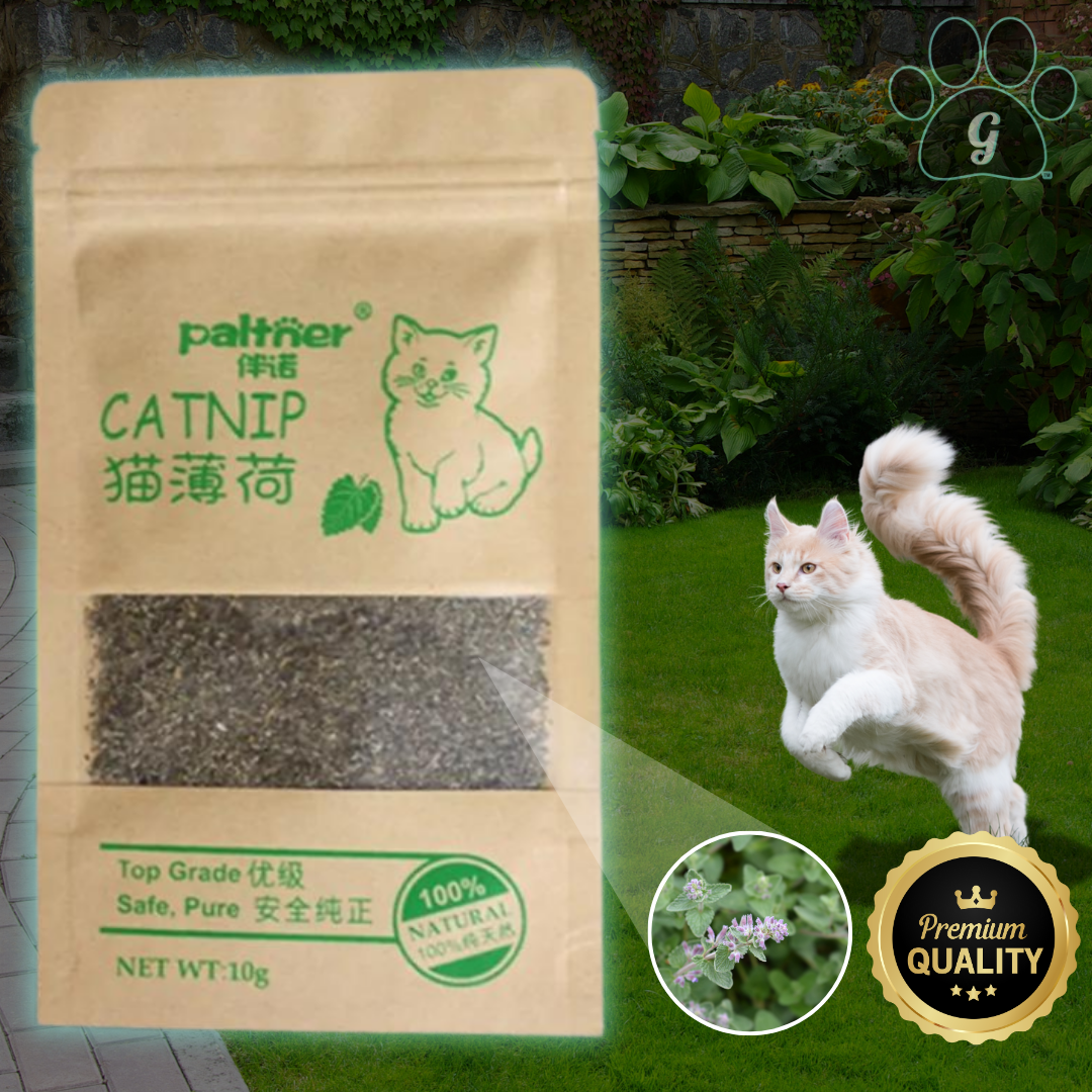 premium dried catnip in a bag