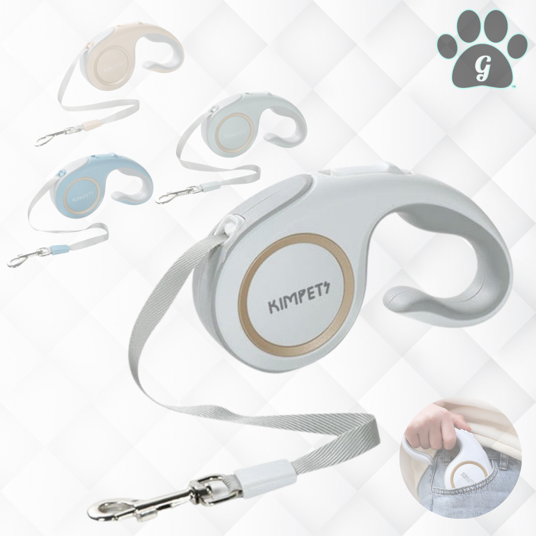 compact retractable leash in multiple colors