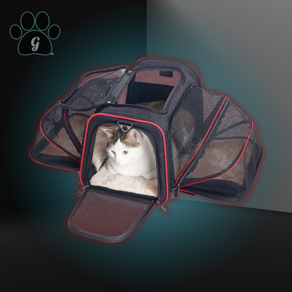 black and red small pet travel carrier