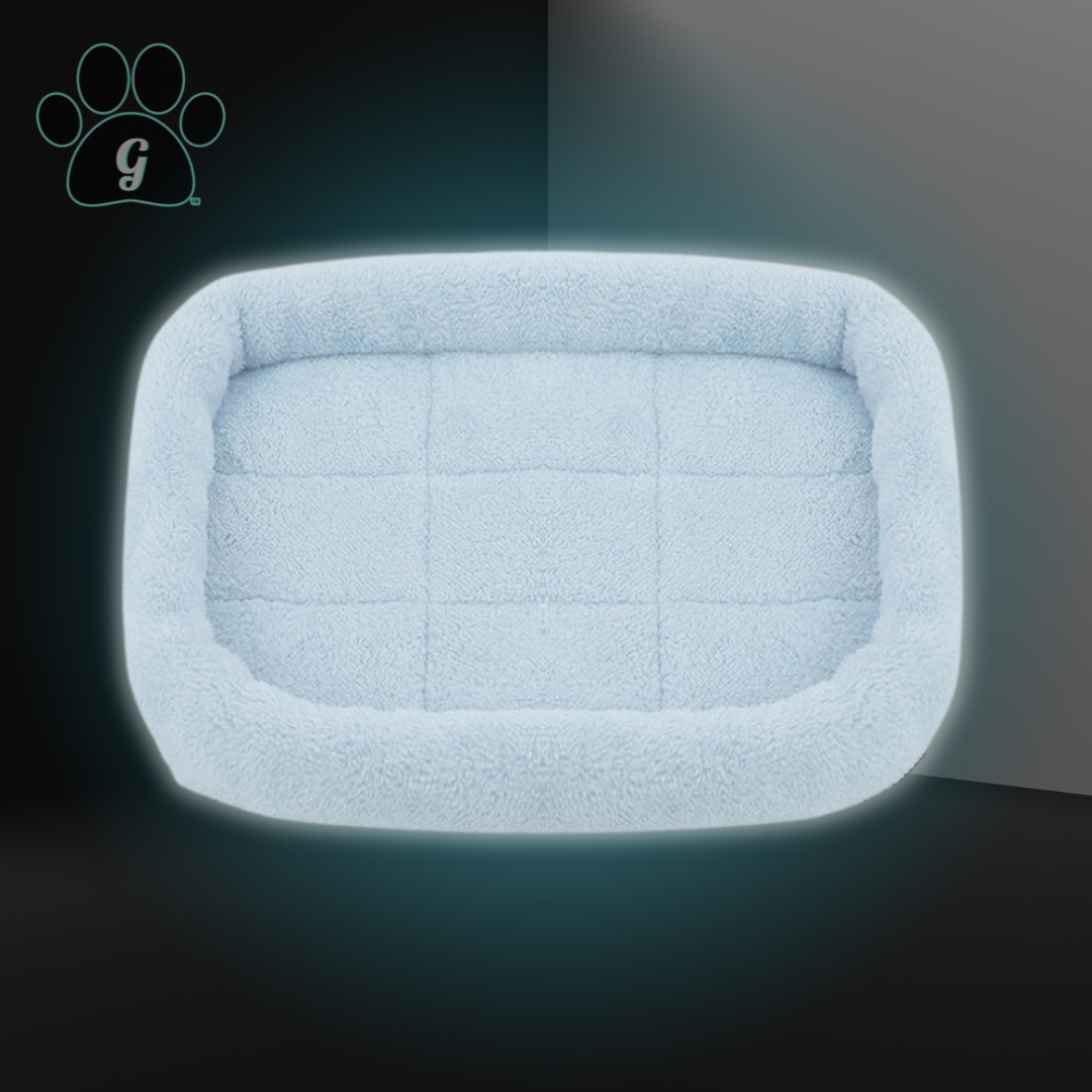 light blue kennel dog bed