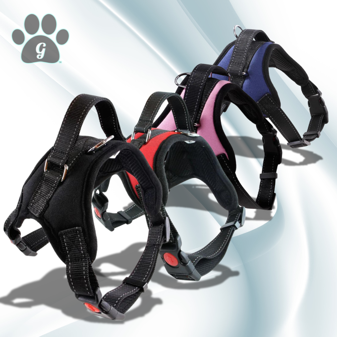 dog harness in multiple colors