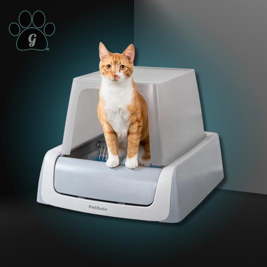 front entry litter box