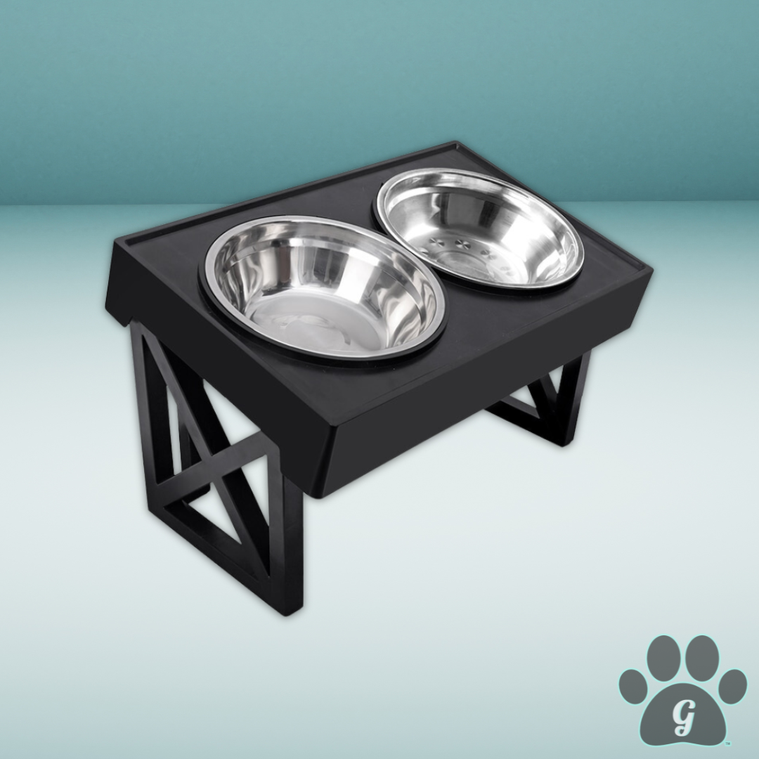 elevated and angled pet feeding set with stainless steel bowls