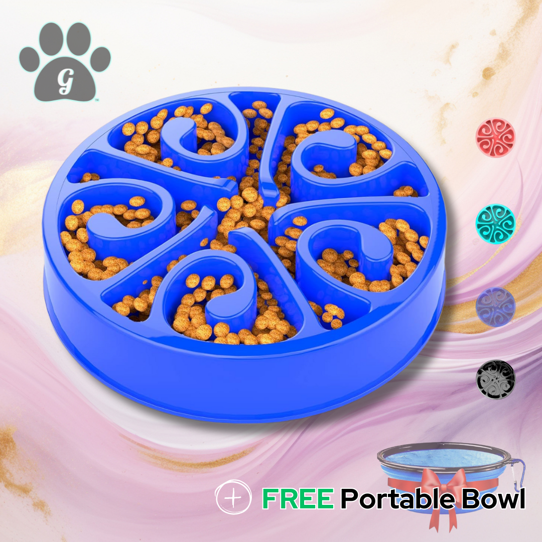 pet slow feeder bowl