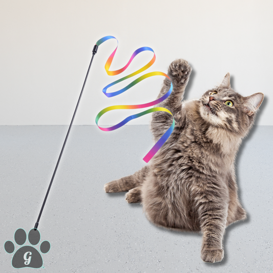 cat playing with handheld rainbow ribbon cat teaser wand toy