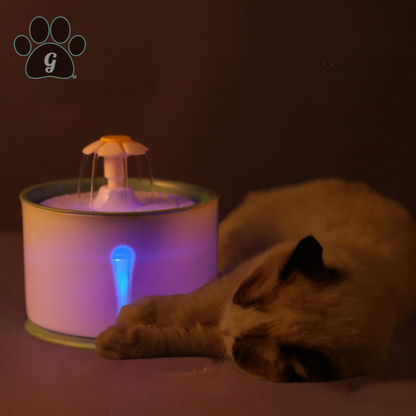 cat laying in front of fountain shown with LED lights on