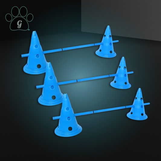 training cones for dogs