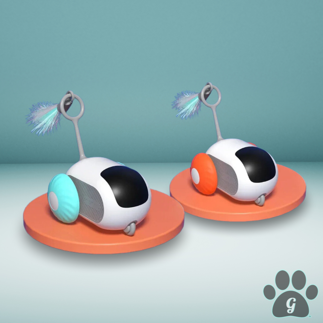 Interactive cat toy shown in 2 colors