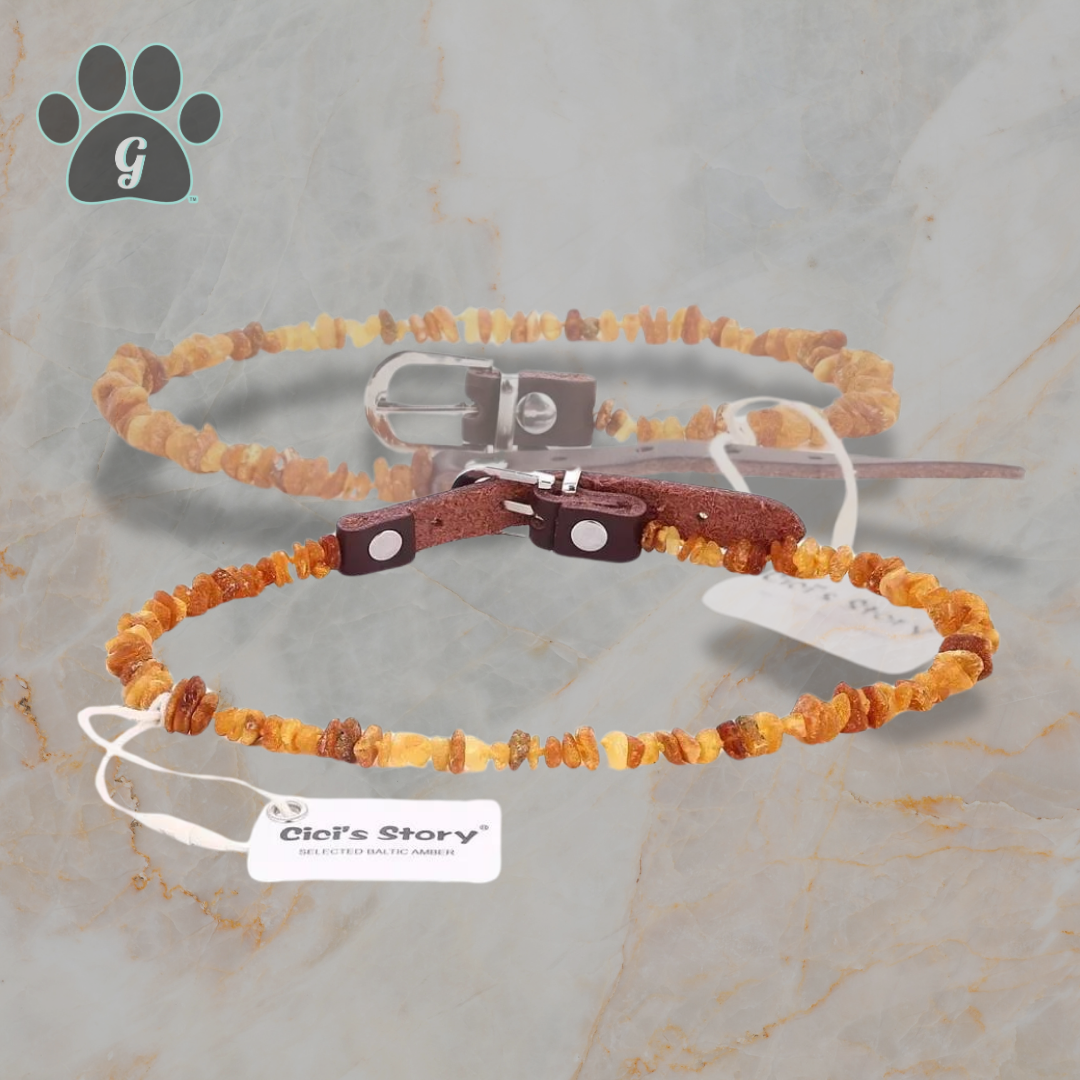 Amber necklace for pets