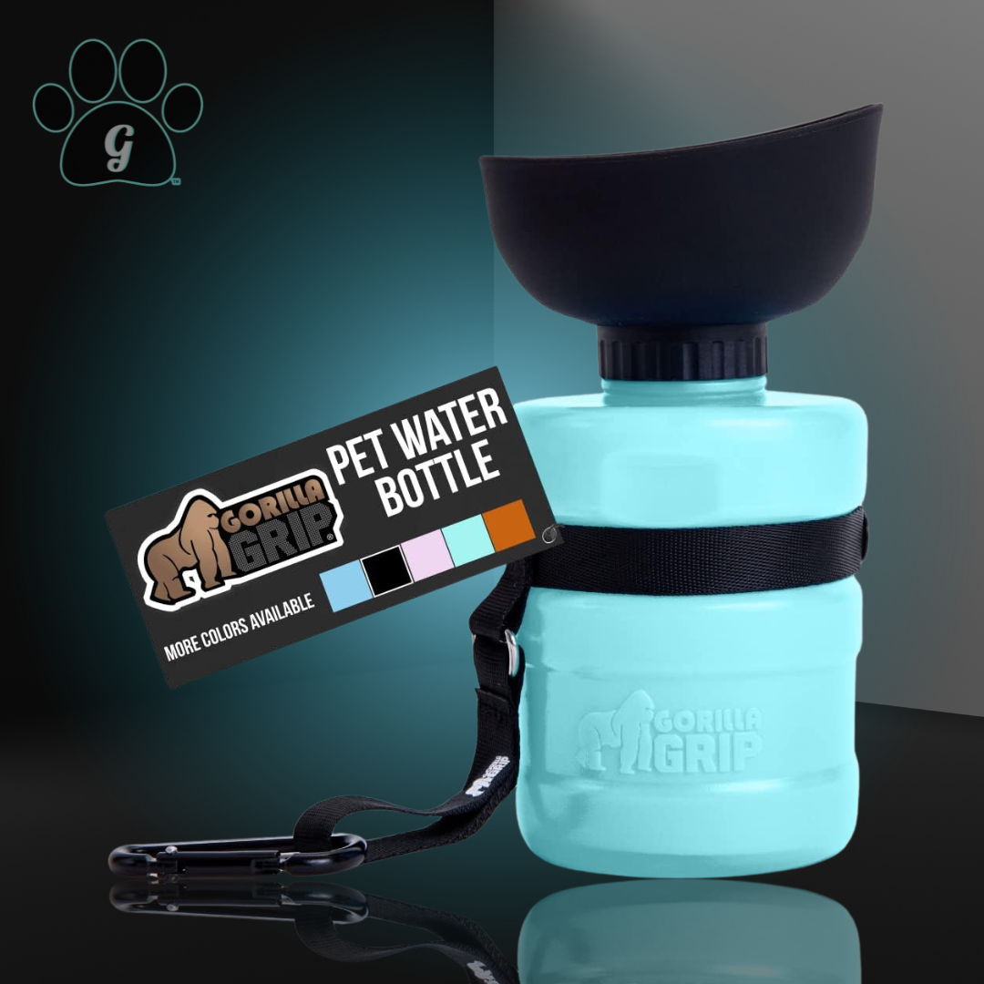 portable pet water bottle in turquoise