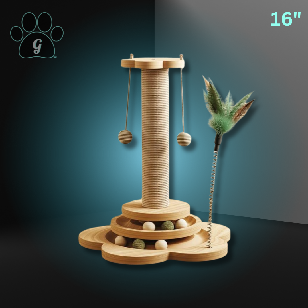 wooden cat scratcher track toy