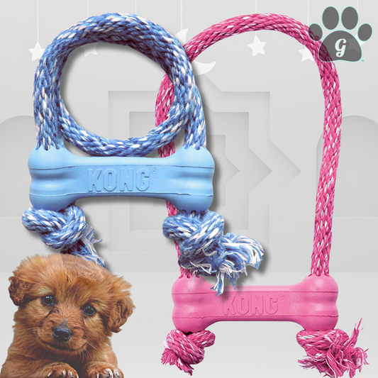 Kong Goodie Bone with rope puppy chew toy in blue and pink