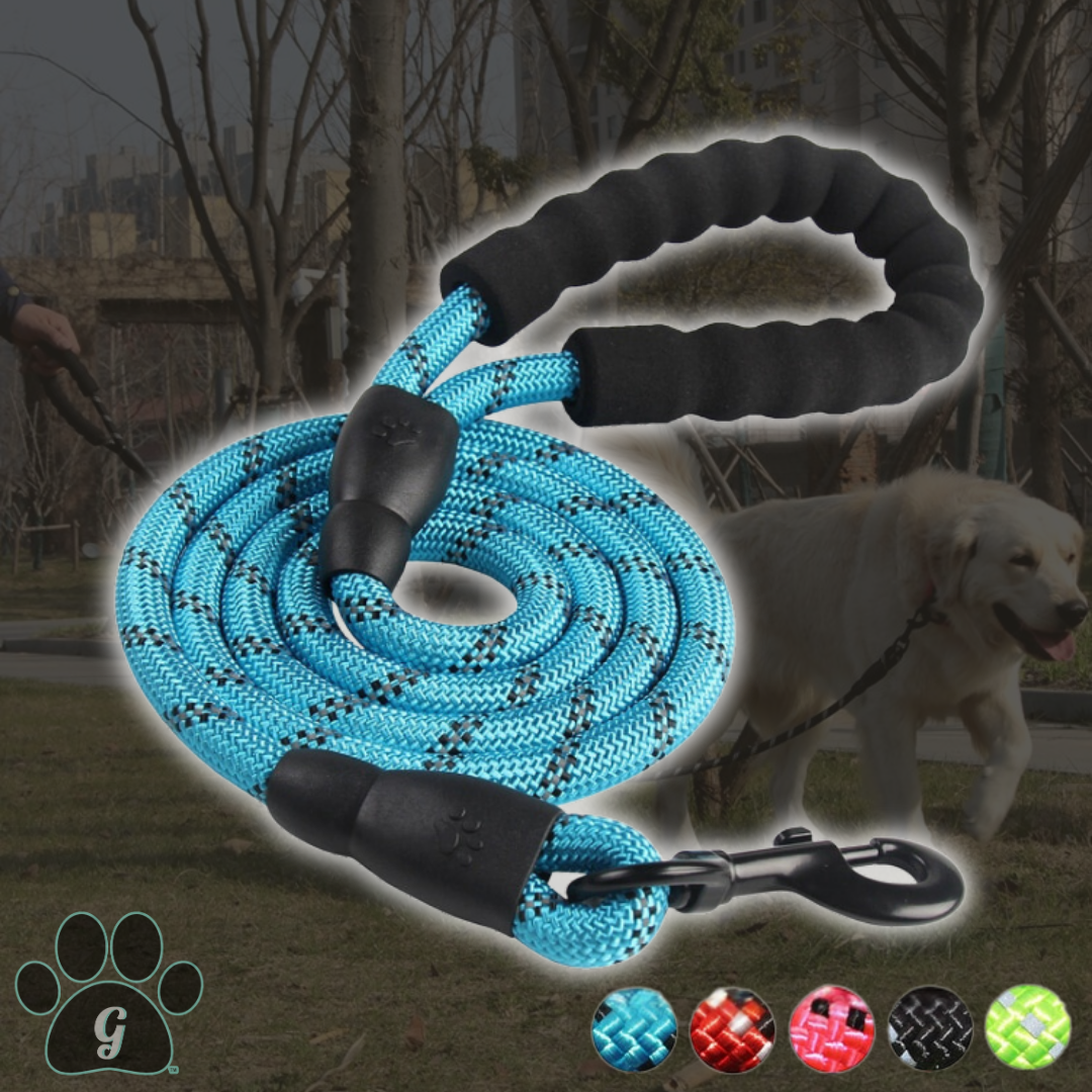 rope leash available in multiple colors