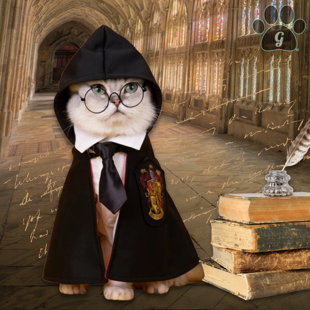 cat wearing black Hogwarts costume with Hogwarts backdrop