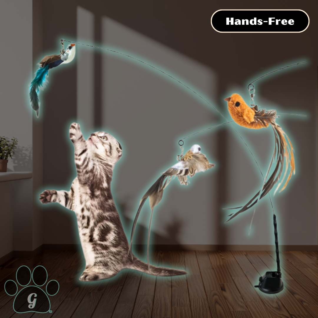 hands free cat wand toy