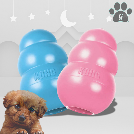 Kong puppy dog chew toy in blue and pink