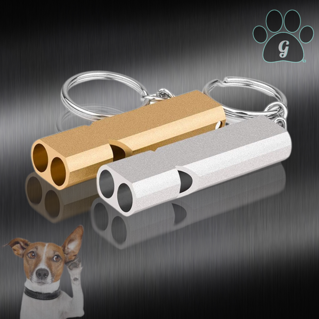 pet training whistle in gold and silver