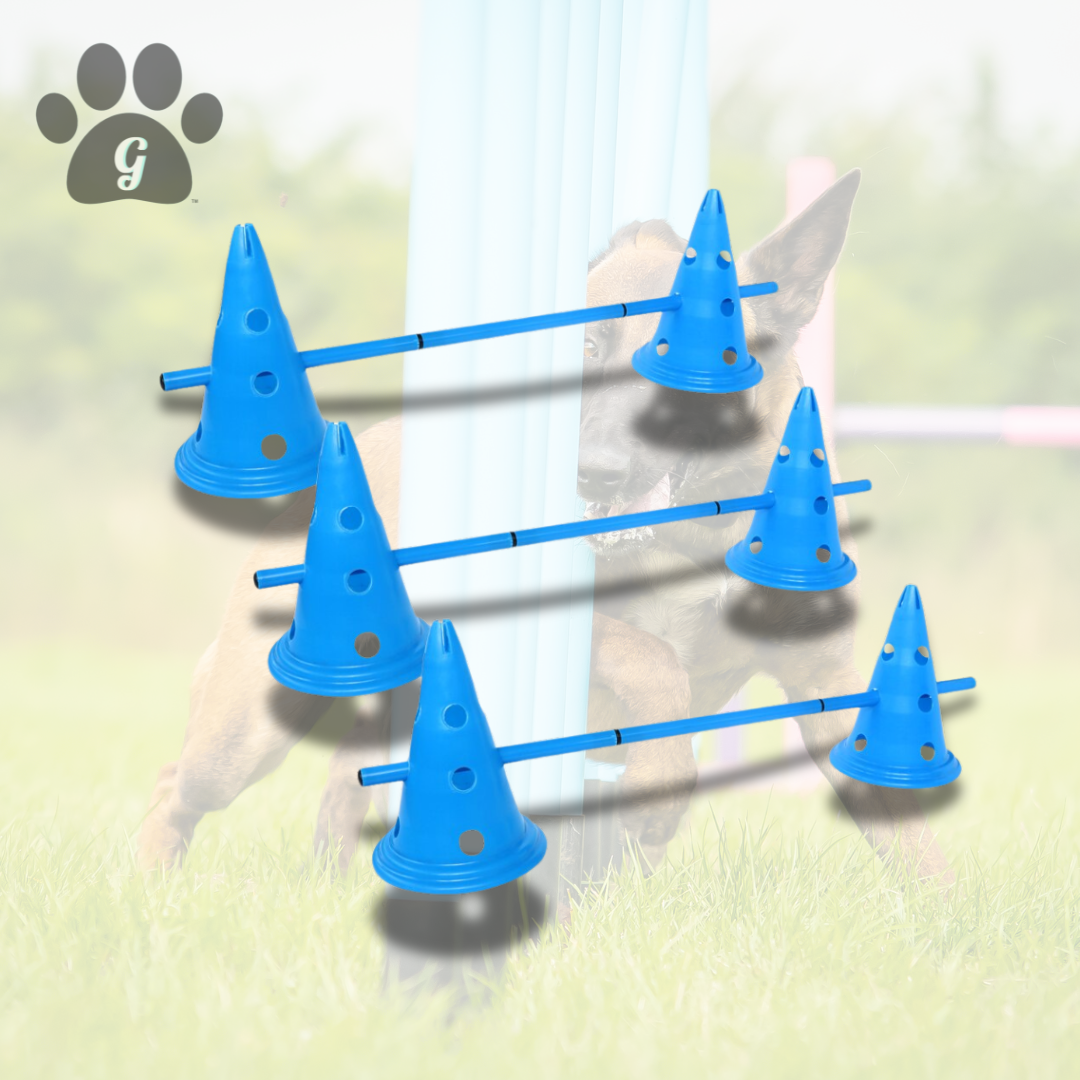 training cones for dogs