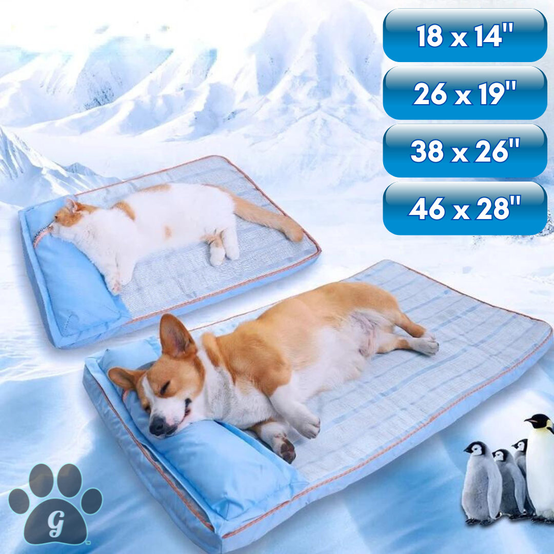 pet orthopedic cooling bed