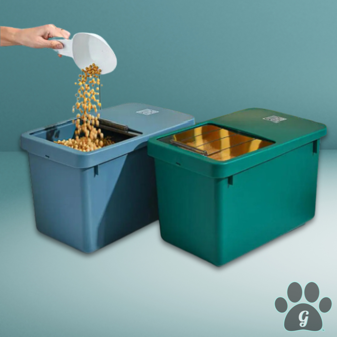 dry food storage container available in blue and green