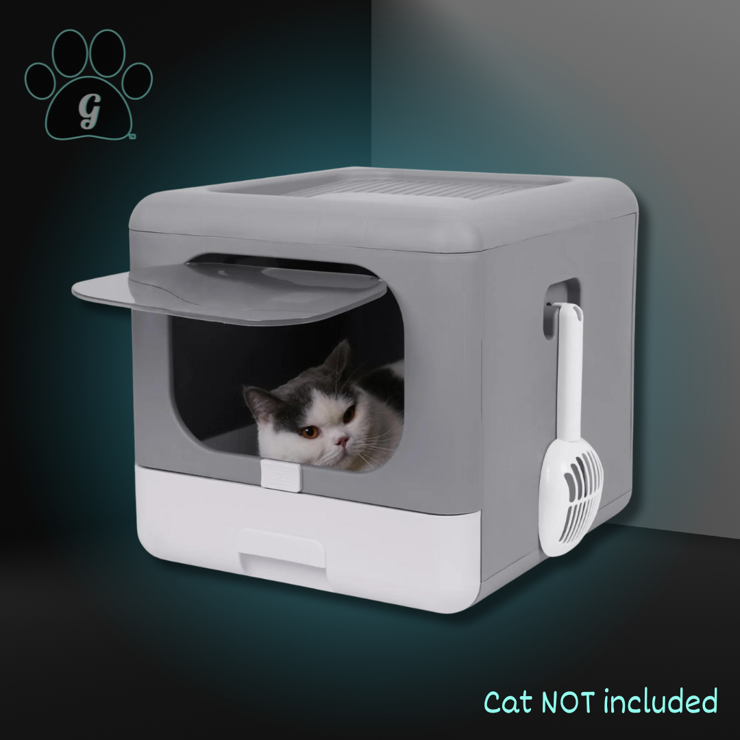 gray enclosed litter box with attachable scooper and cat inside