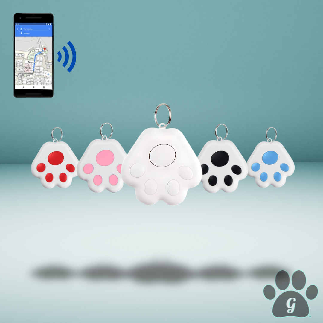 pet GPS tag available in 5 colors