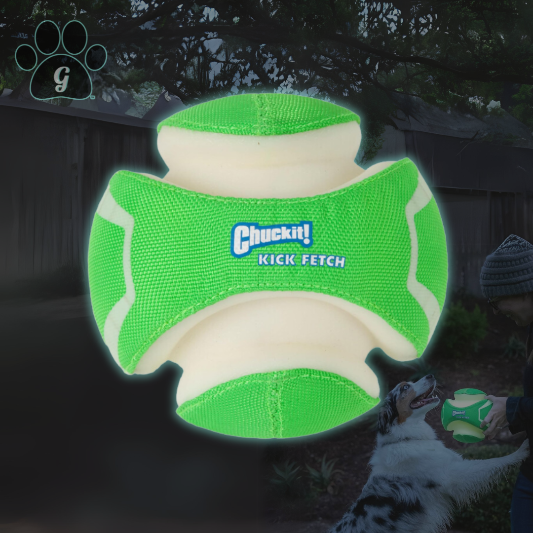 glow in the dark soccer ball for dogs