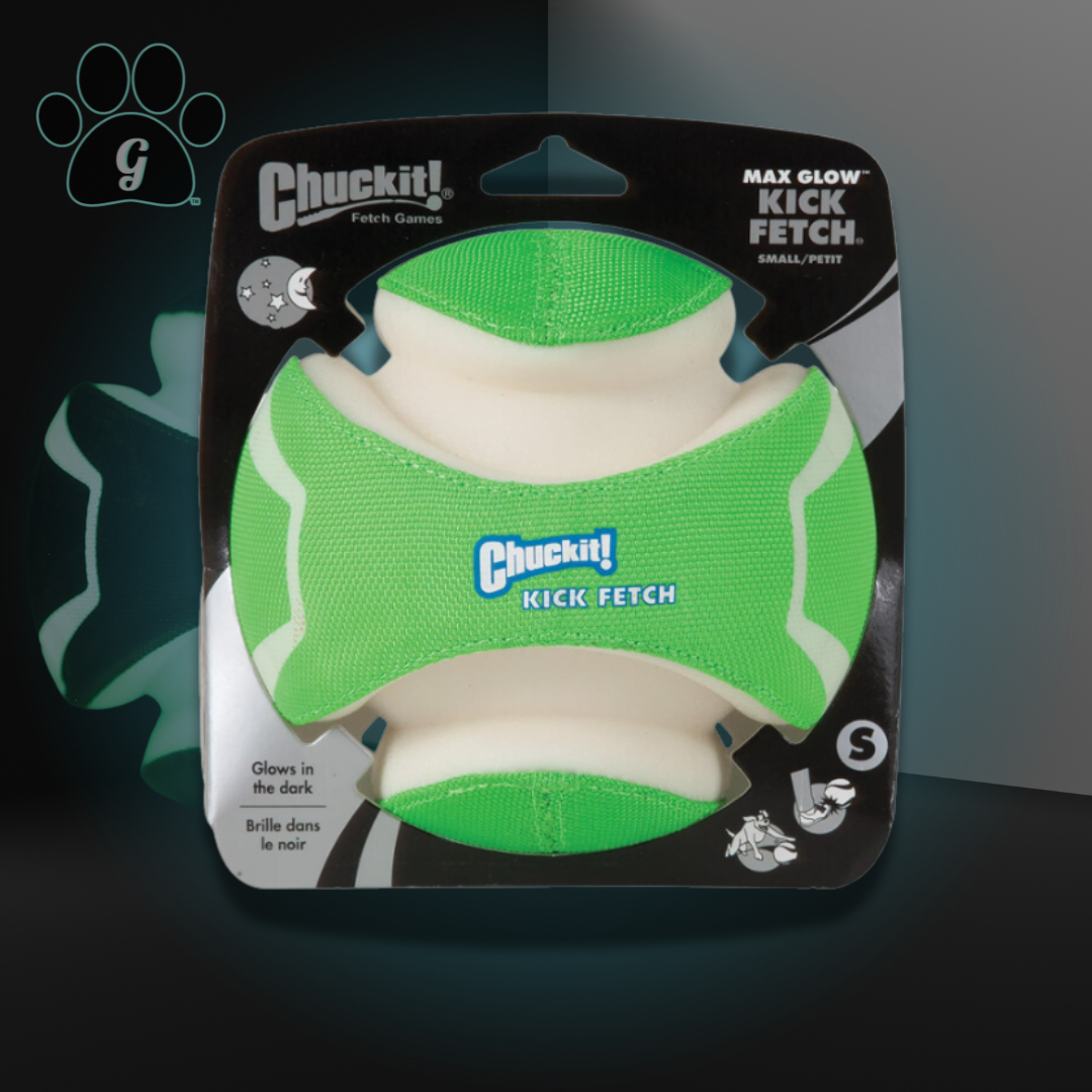 Chuckit kick fetch ball large best sale