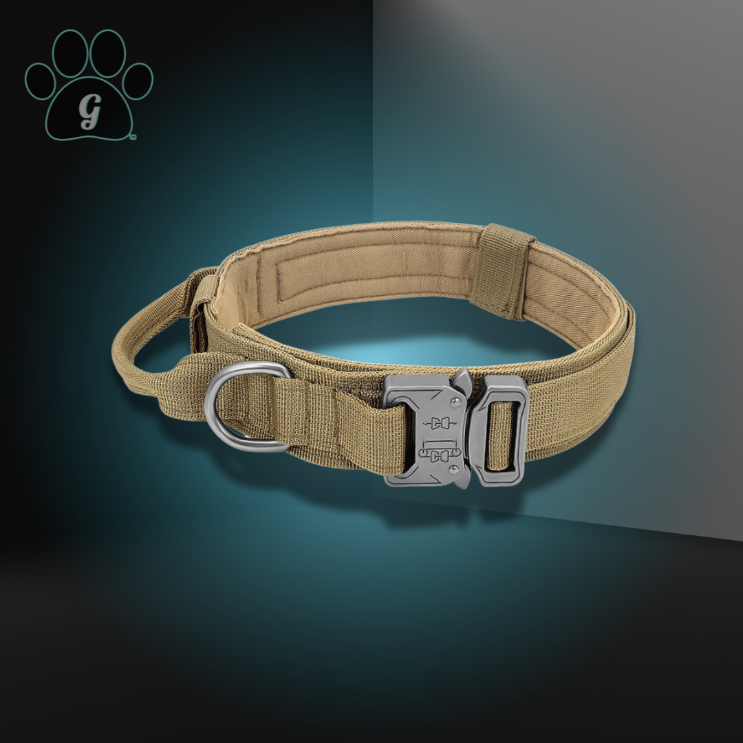 tan dog collar