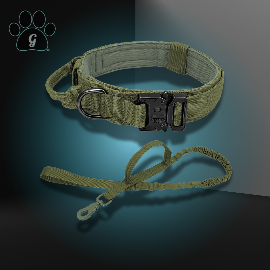 DIDOG Tactical Dog Collar Bungee Leash Set