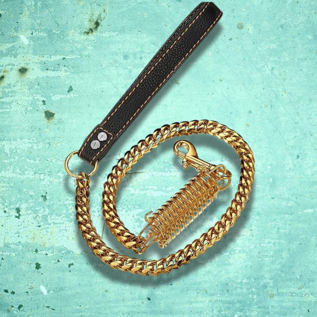 Gold chain link collar with buffer spring and leather handle