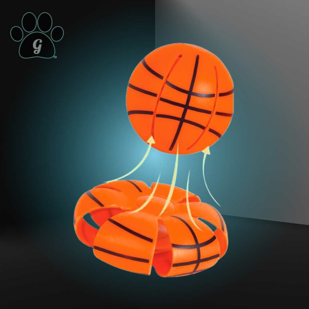 flying saucer basketball dog toy