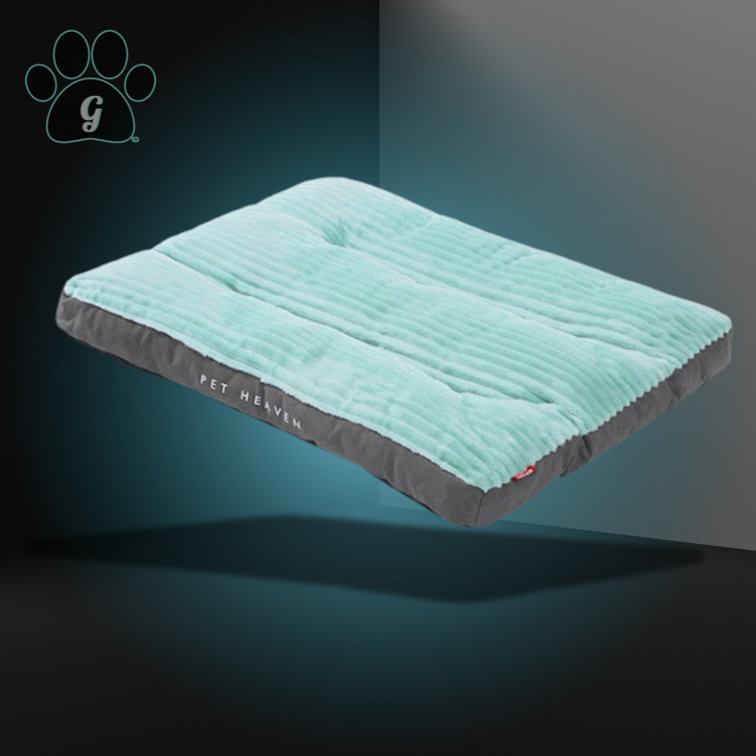 green and gray corduroy dog bed