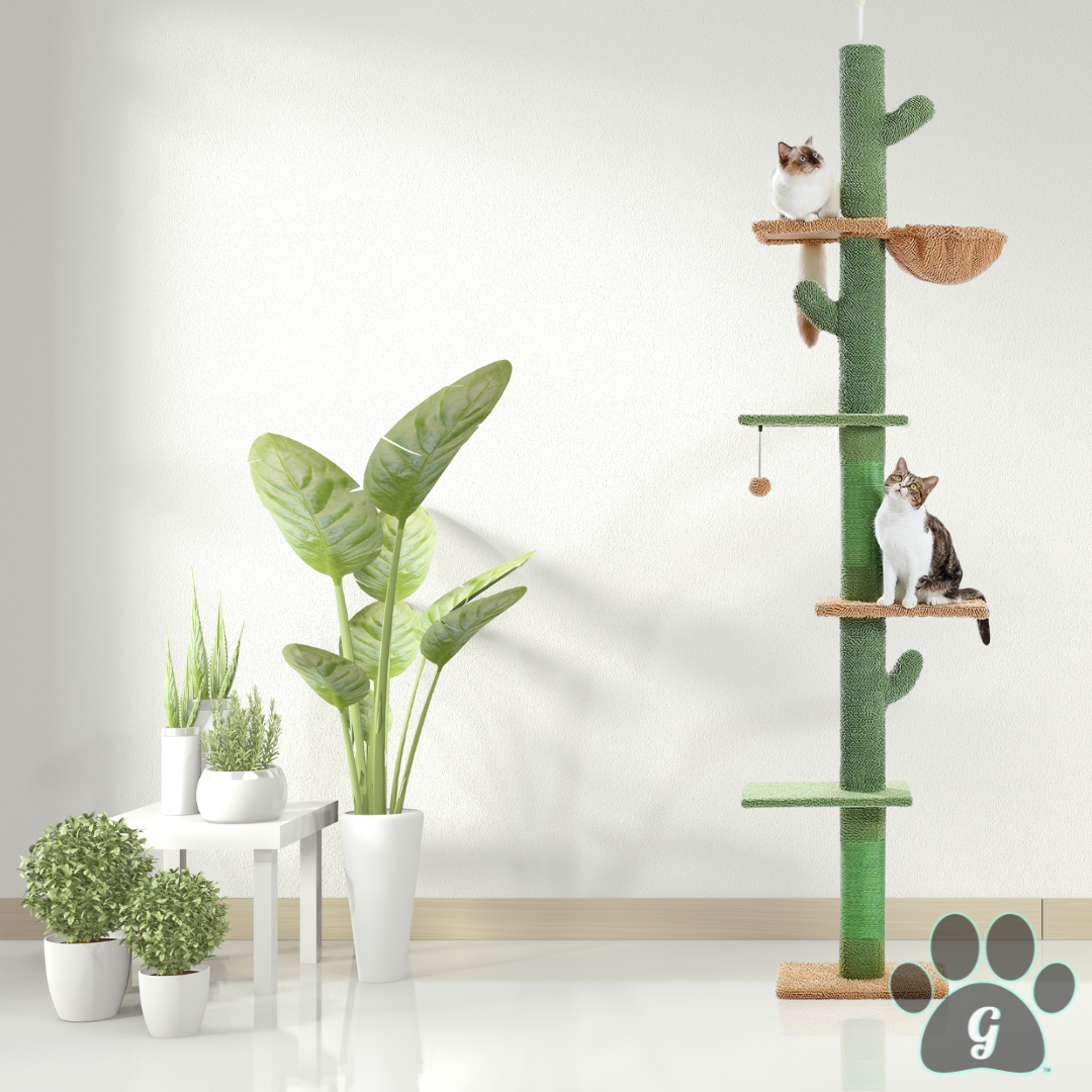 cactus like cat tree with cats on it shown in living room